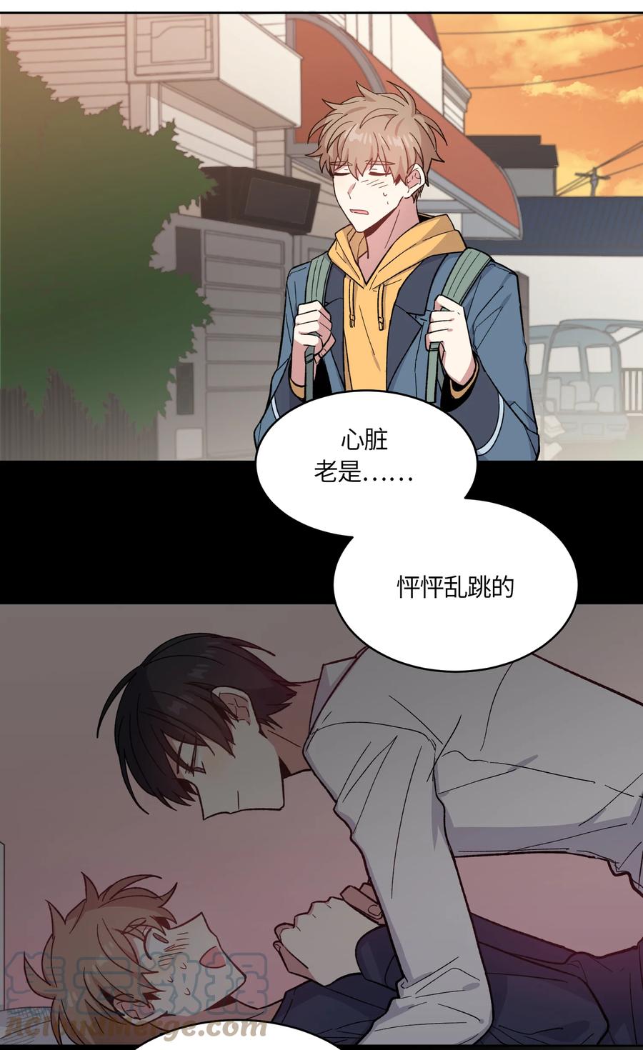 045045-甜心BOY-茶绿,创乐帮（第25张）