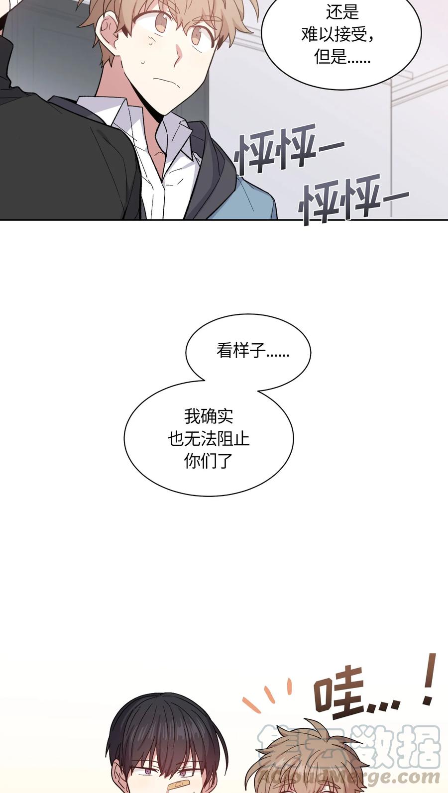 070070-甜心BOY-茶绿,创乐帮（第16张）