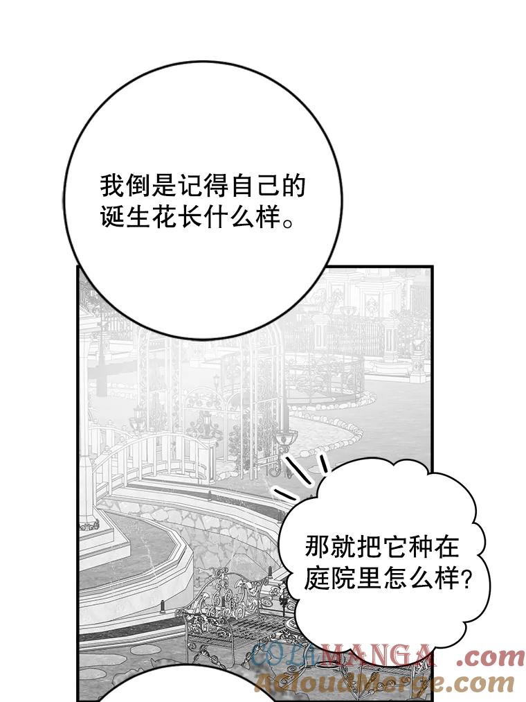 97.jpg
