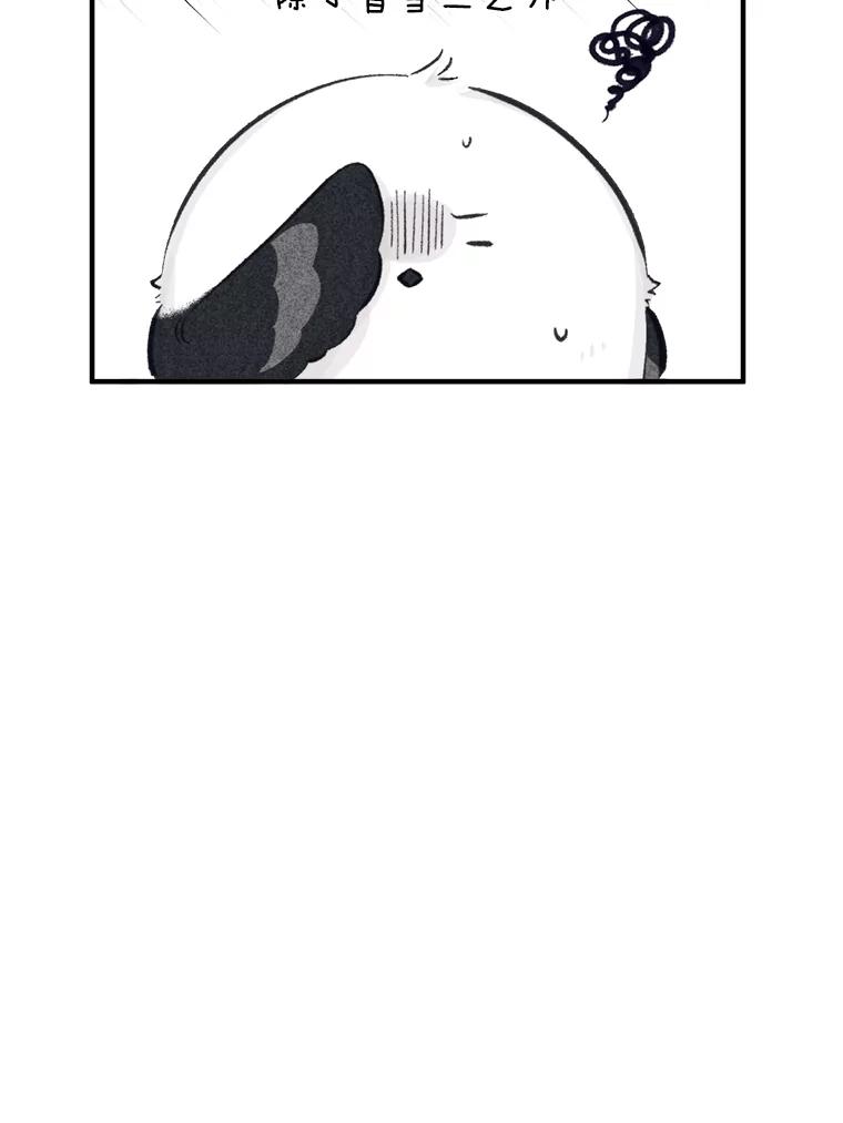 96.jpg