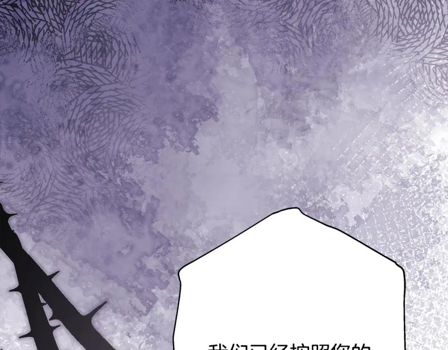135.jpg