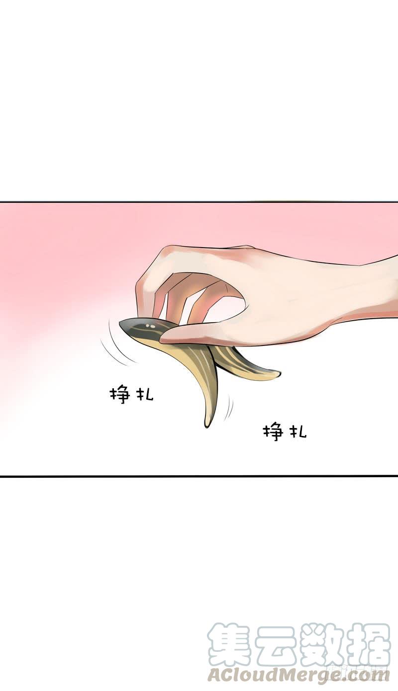 25.jpg