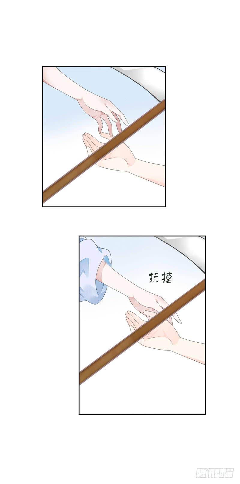 41.jpg