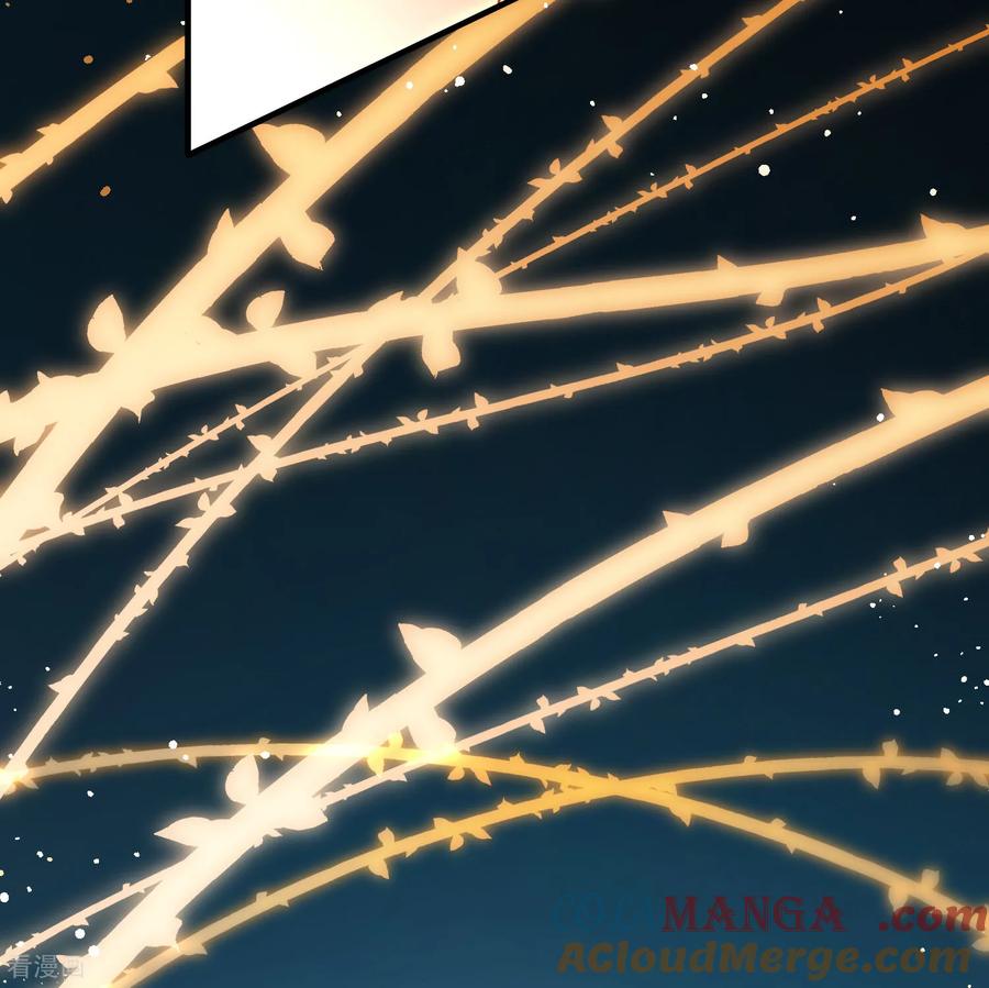 第2季第257话光精灵族的真面目3-寻找前世之旅-飒飒动漫（第19张）