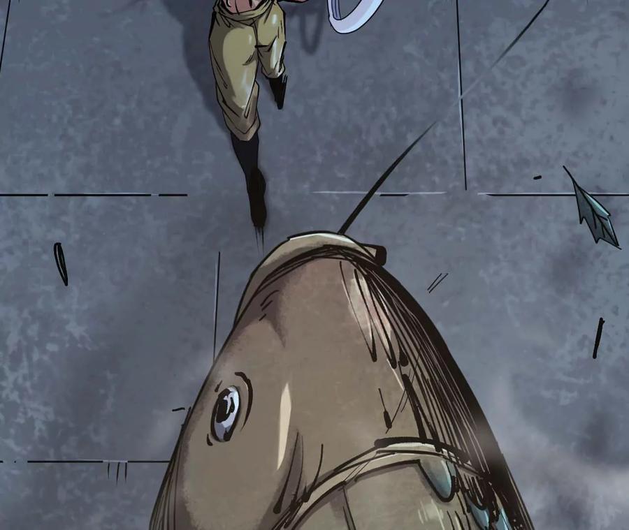 48.jpg