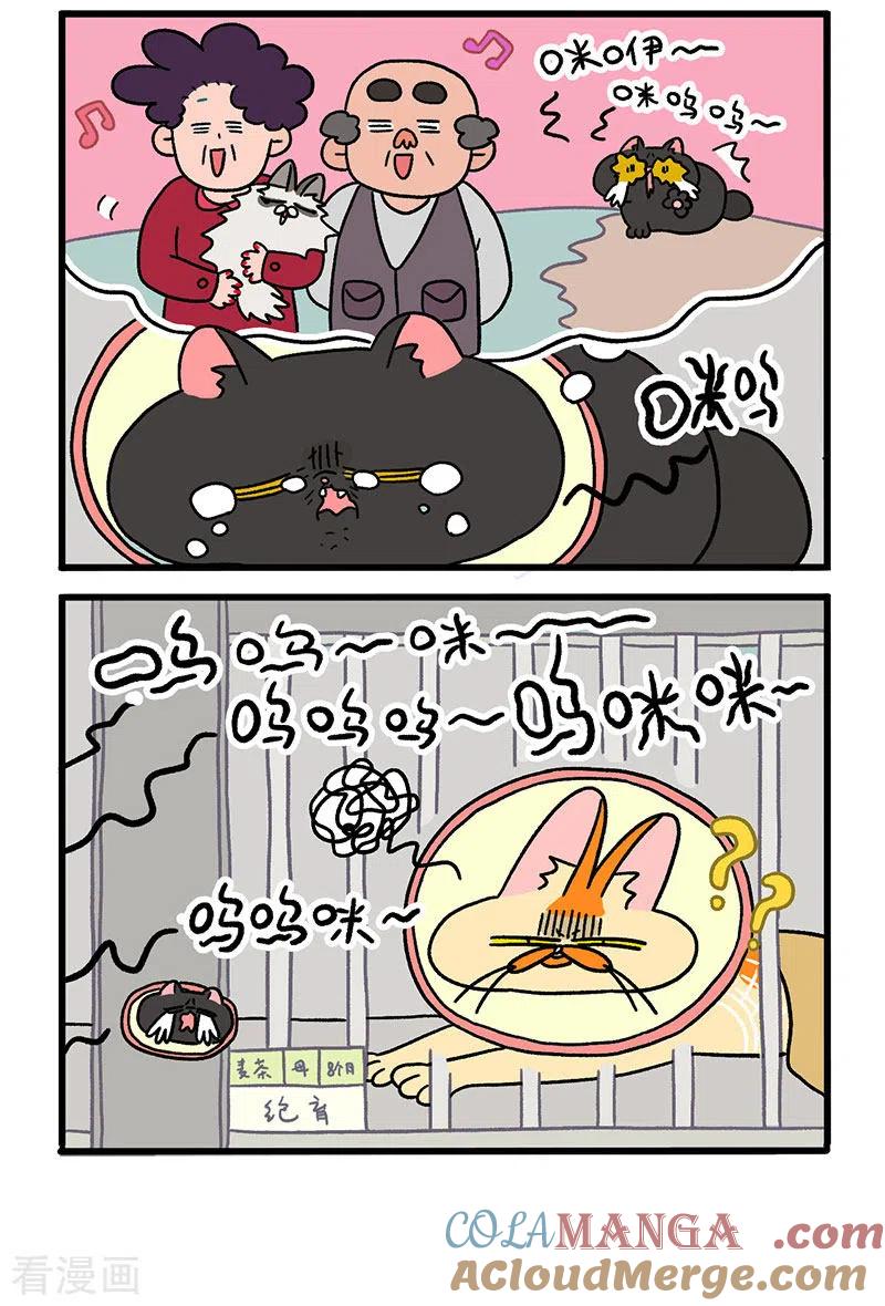 第19话1住院部的晚上-阿满和麦茶-新漫画 日胖大海寺（第2张）