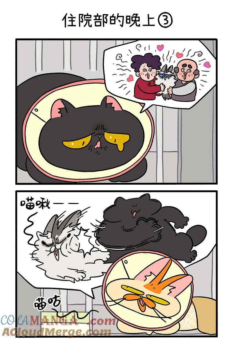 第19话1住院部的晚上-阿满和麦茶-新漫画 日胖大海寺（第4张）