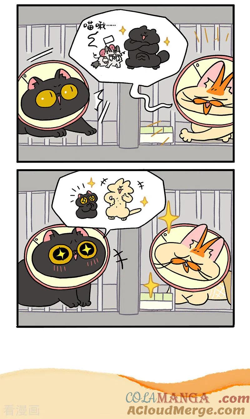 第19话1住院部的晚上-阿满和麦茶-新漫画 日胖大海寺（第5张）