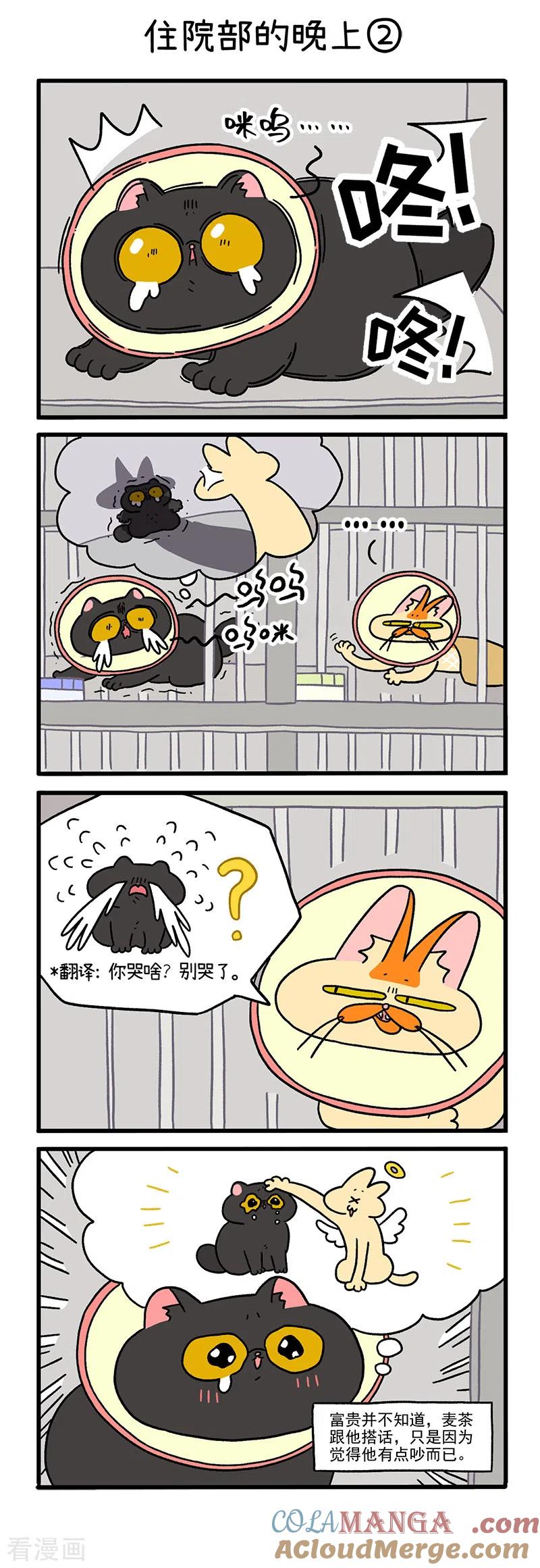 第19话1住院部的晚上-阿满和麦茶-新漫画 日胖大海寺（第3张）