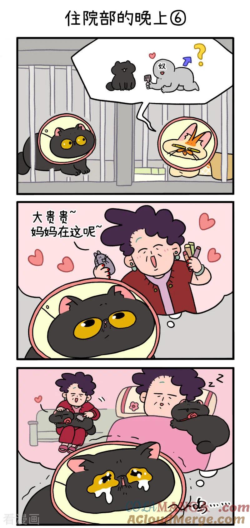 第19话2住院部的晚上-阿满和麦茶-新漫画 日胖大海寺（第4张）
