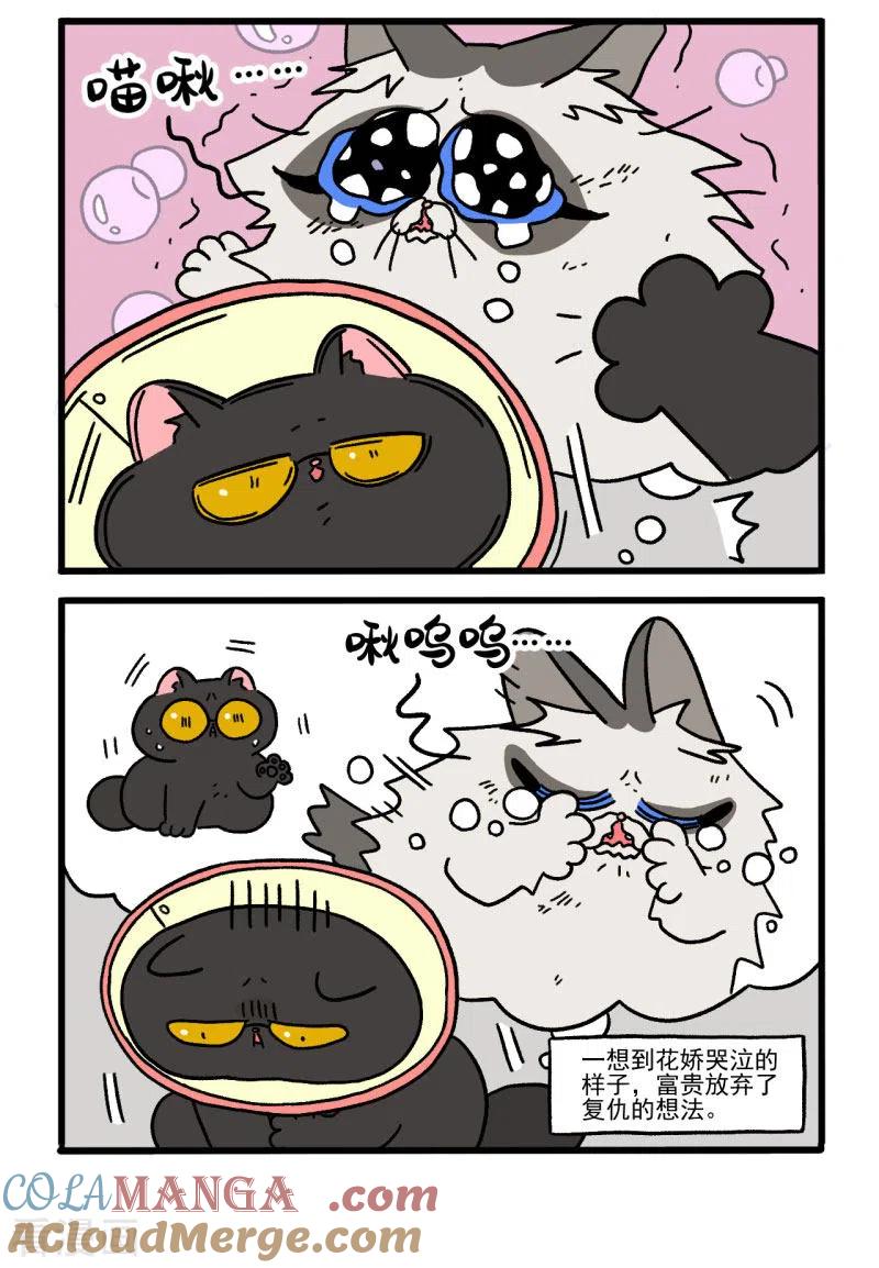 第19话2住院部的晚上-阿满和麦茶-新漫画 日胖大海寺（第2张）