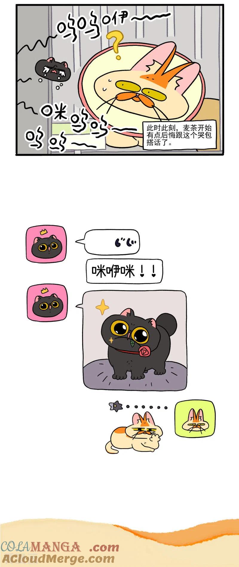 第19话2住院部的晚上-阿满和麦茶-新漫画 日胖大海寺（第5张）