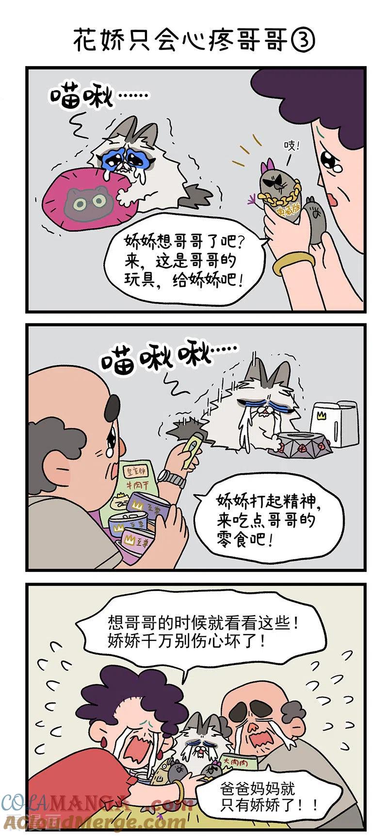 第20话花娇只会心疼哥哥-阿满和麦茶-新漫画 日胖大海寺（第4张）