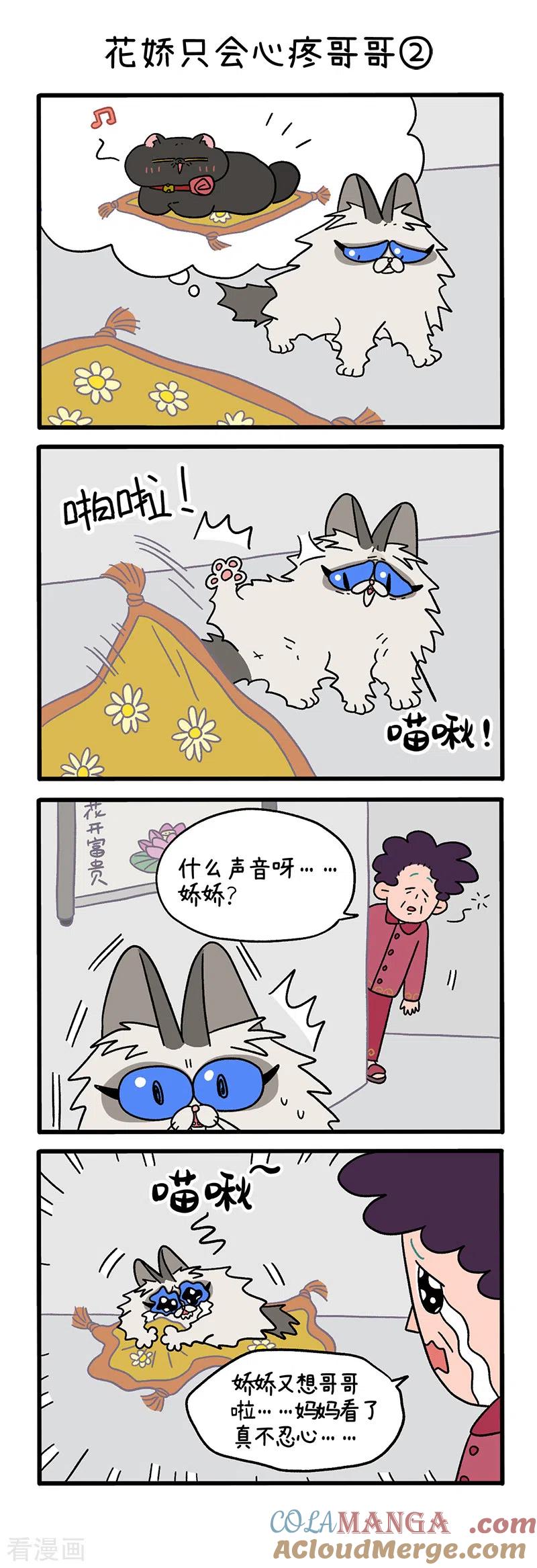 第20话花娇只会心疼哥哥-阿满和麦茶-新漫画 日胖大海寺（第3张）