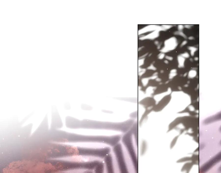 123.jpg