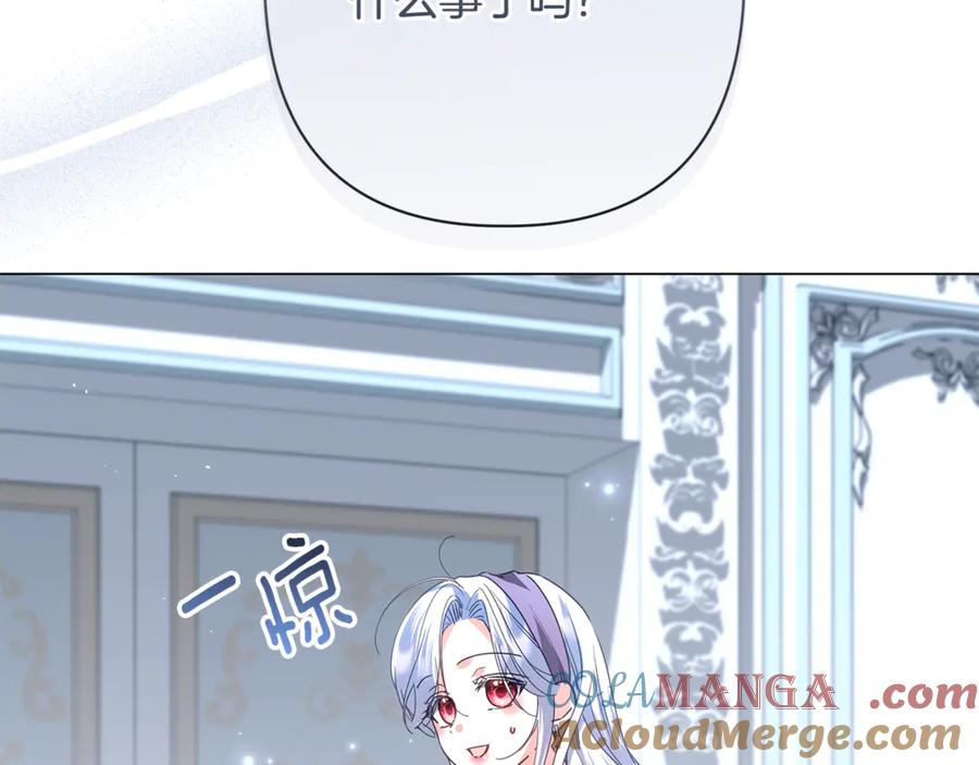 137.jpg