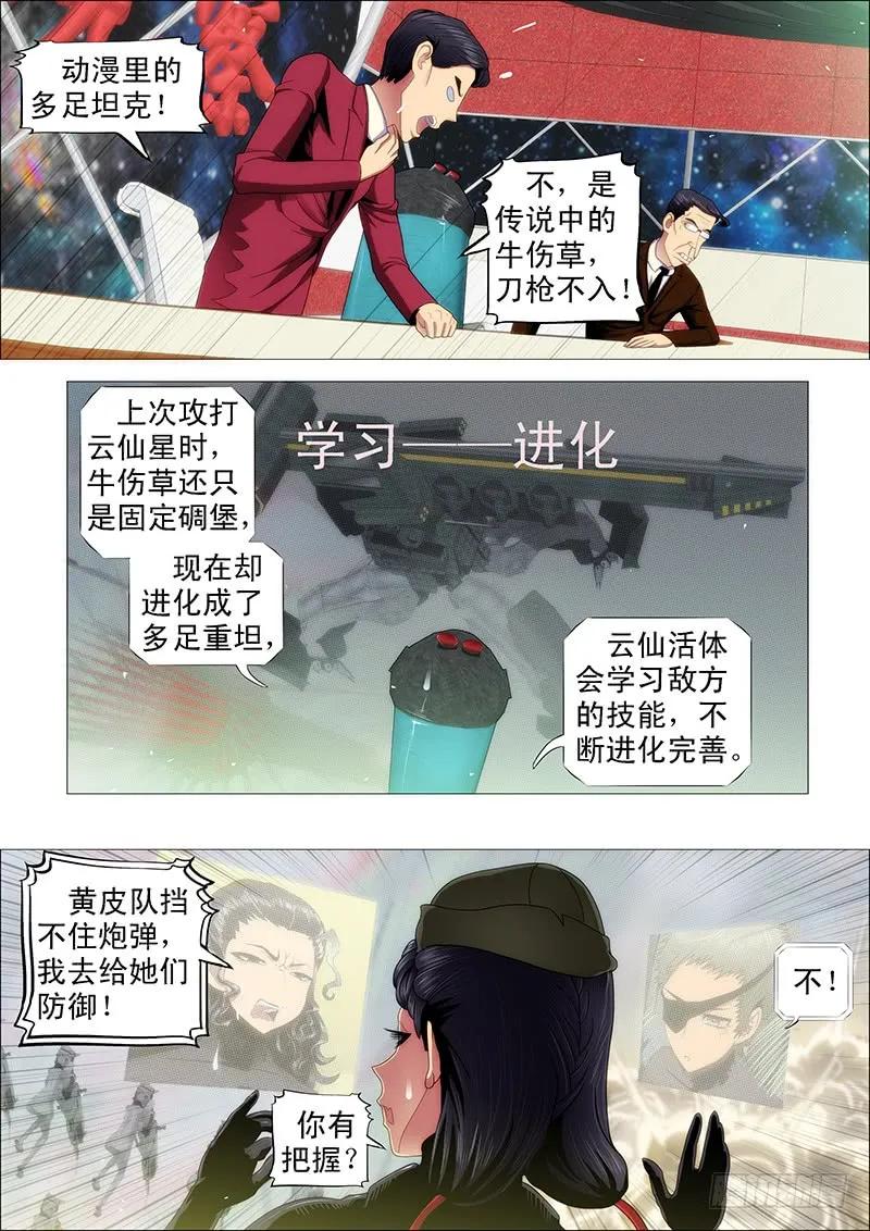 4.jpg