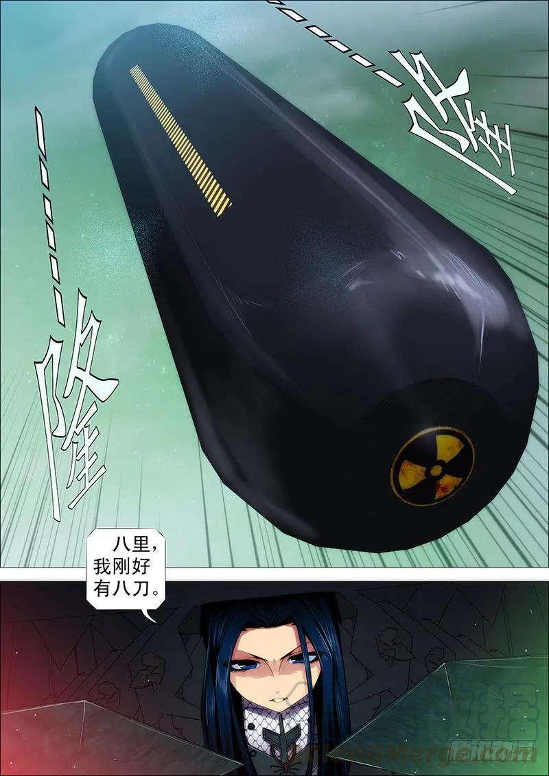 11.jpg