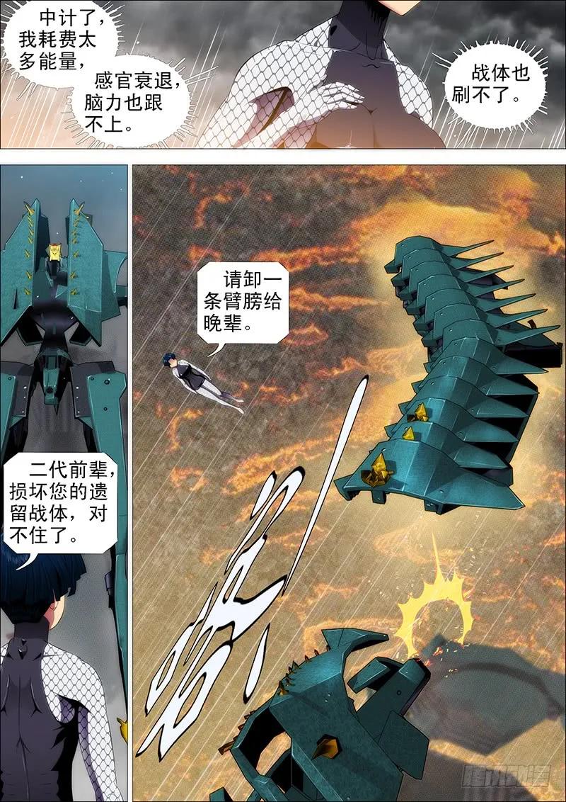4.jpg