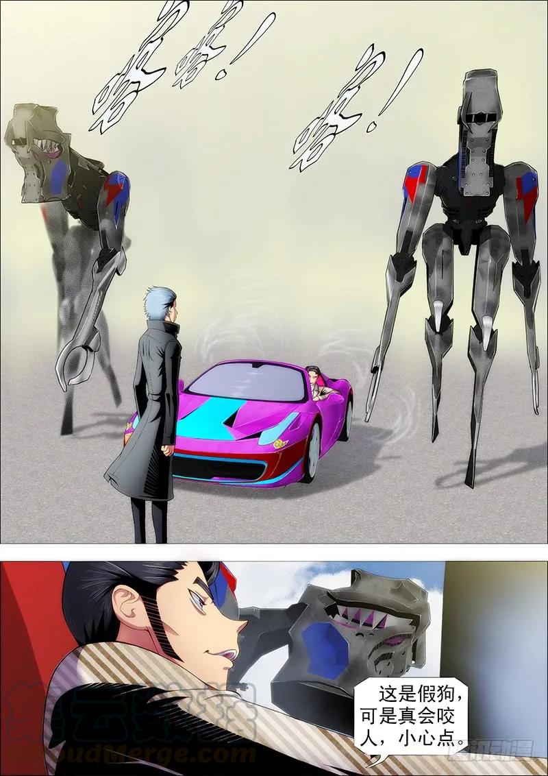 7.jpg