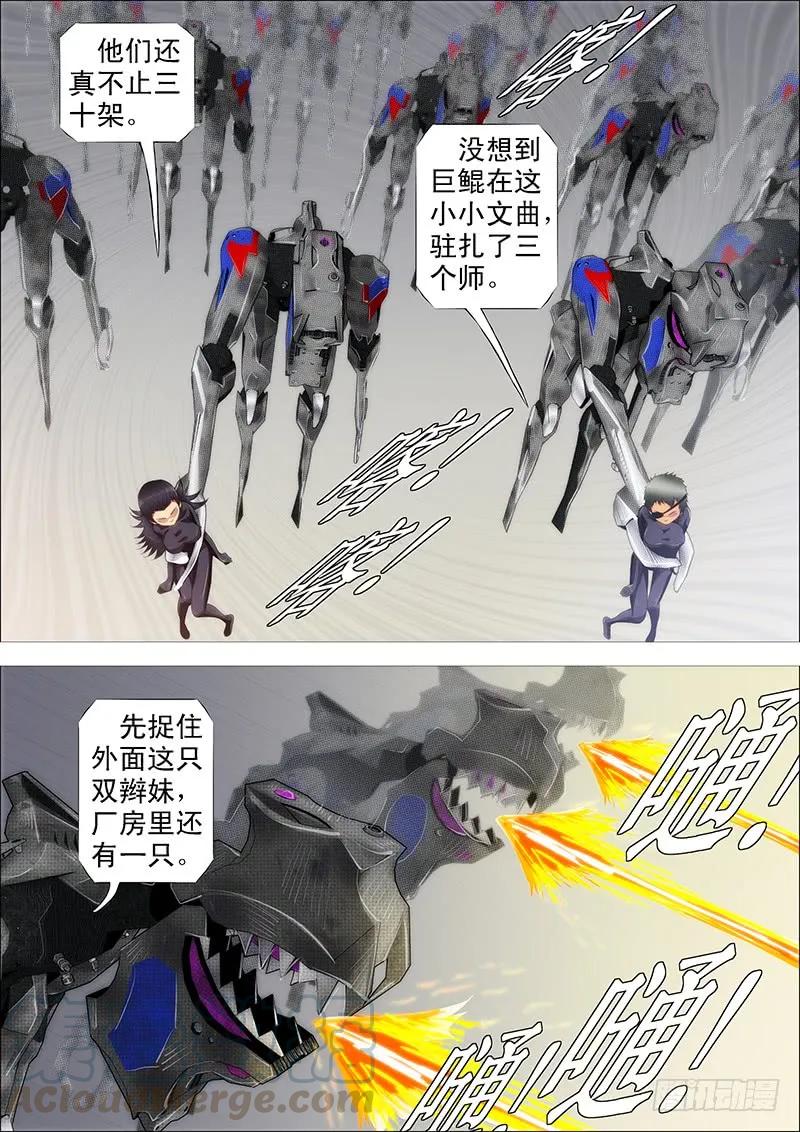 13.jpg