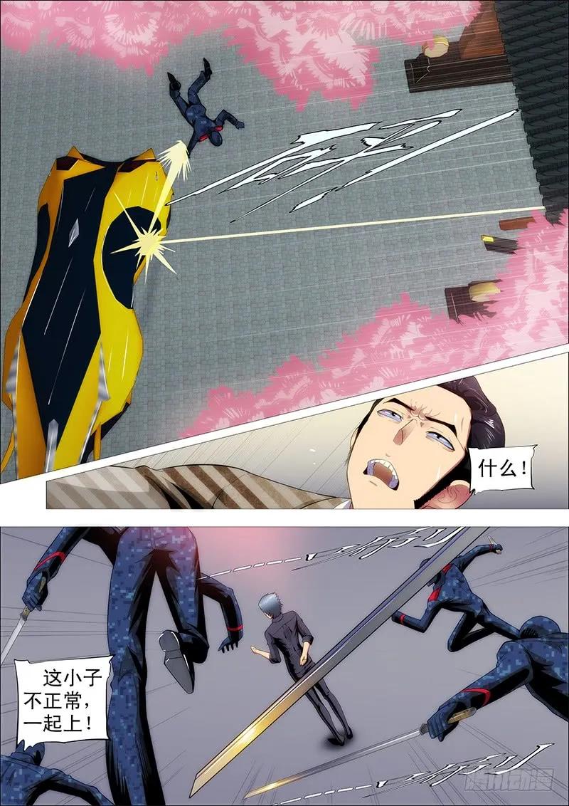 11.jpg
