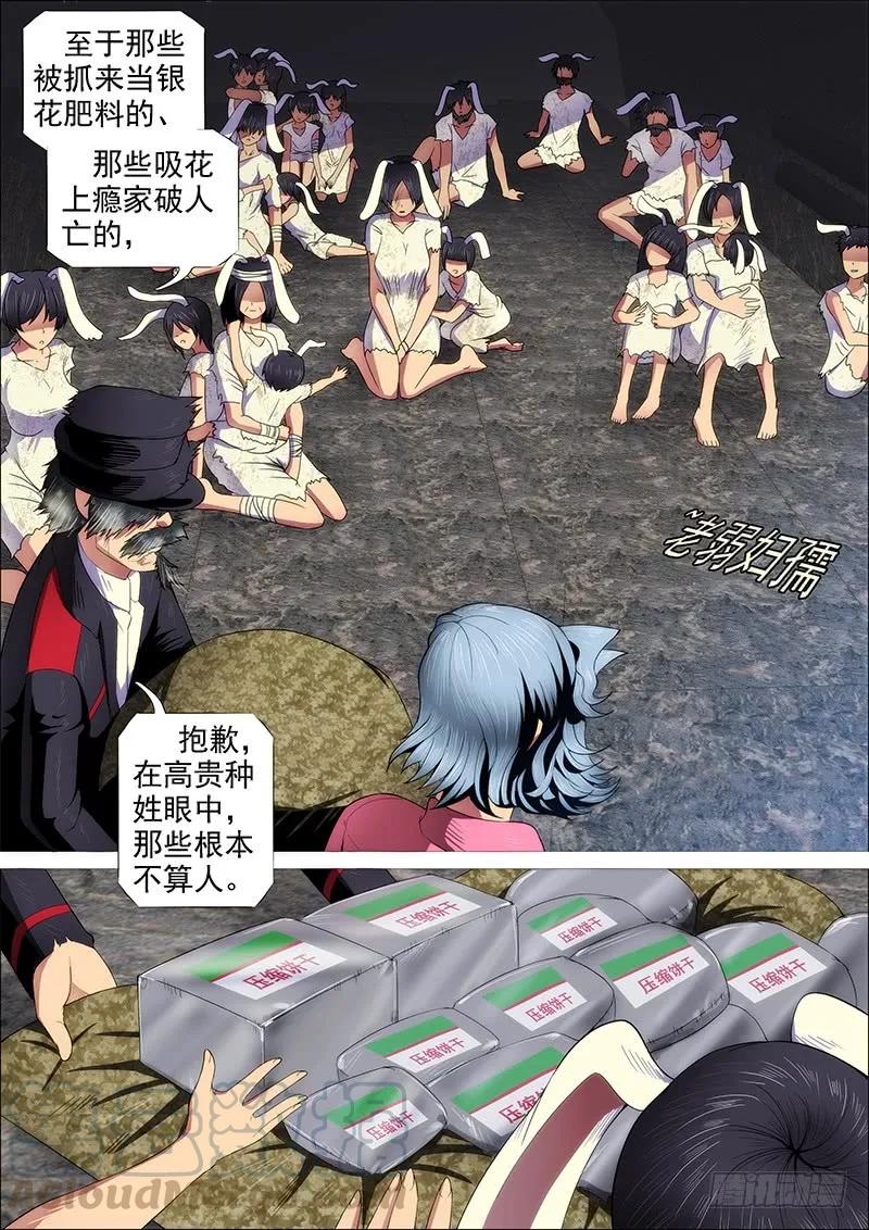 10.jpg