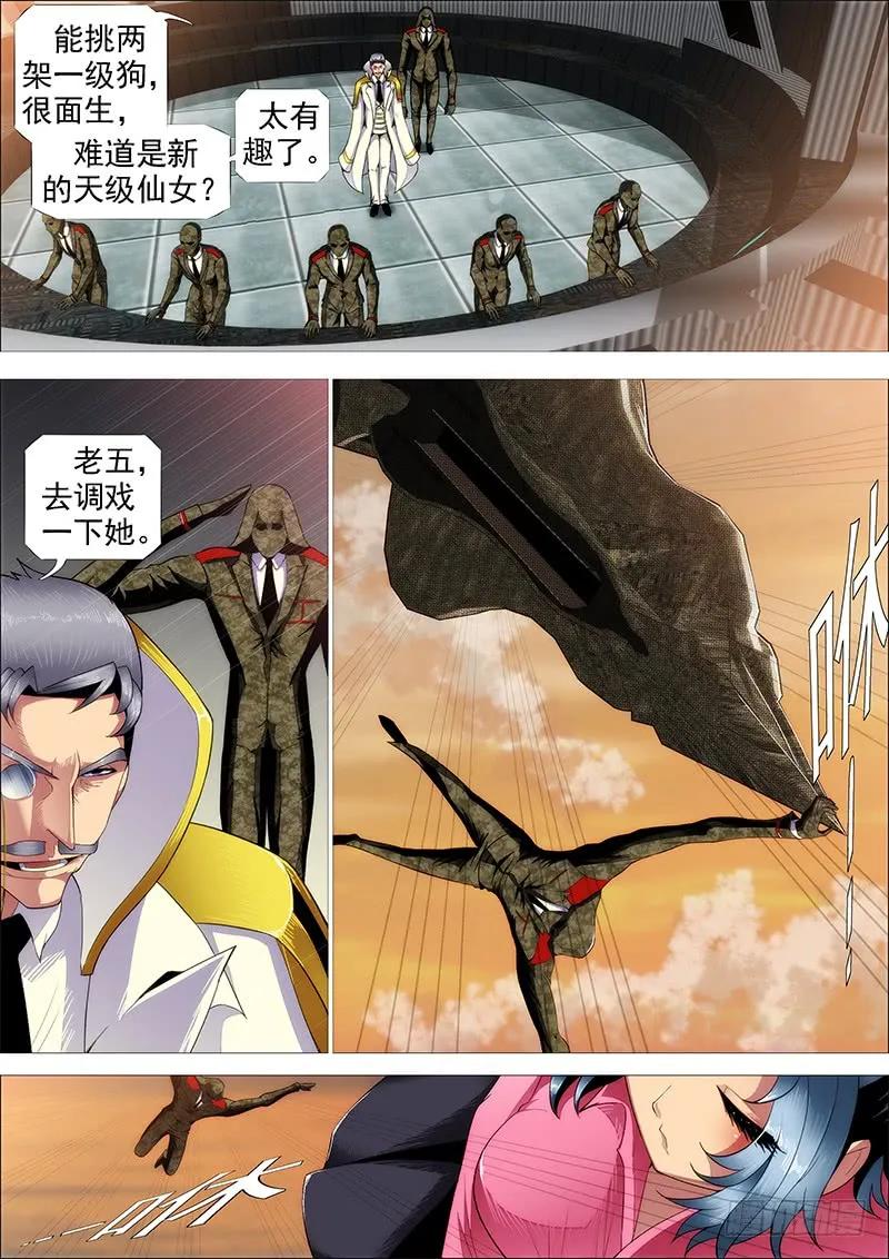 12.jpg