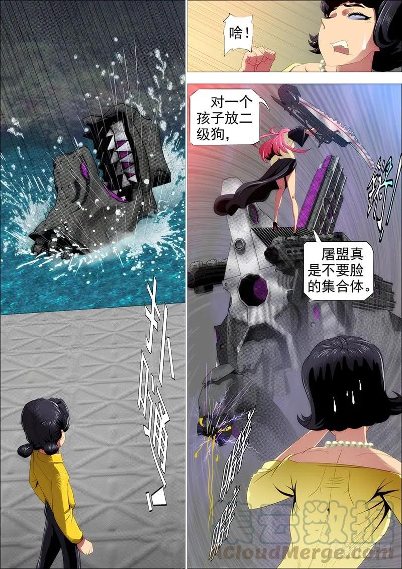 7.jpg