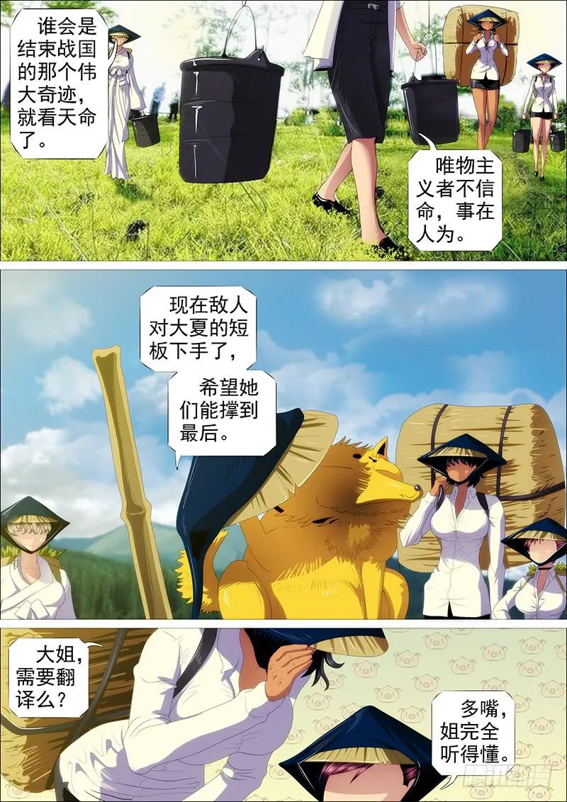 11.jpg
