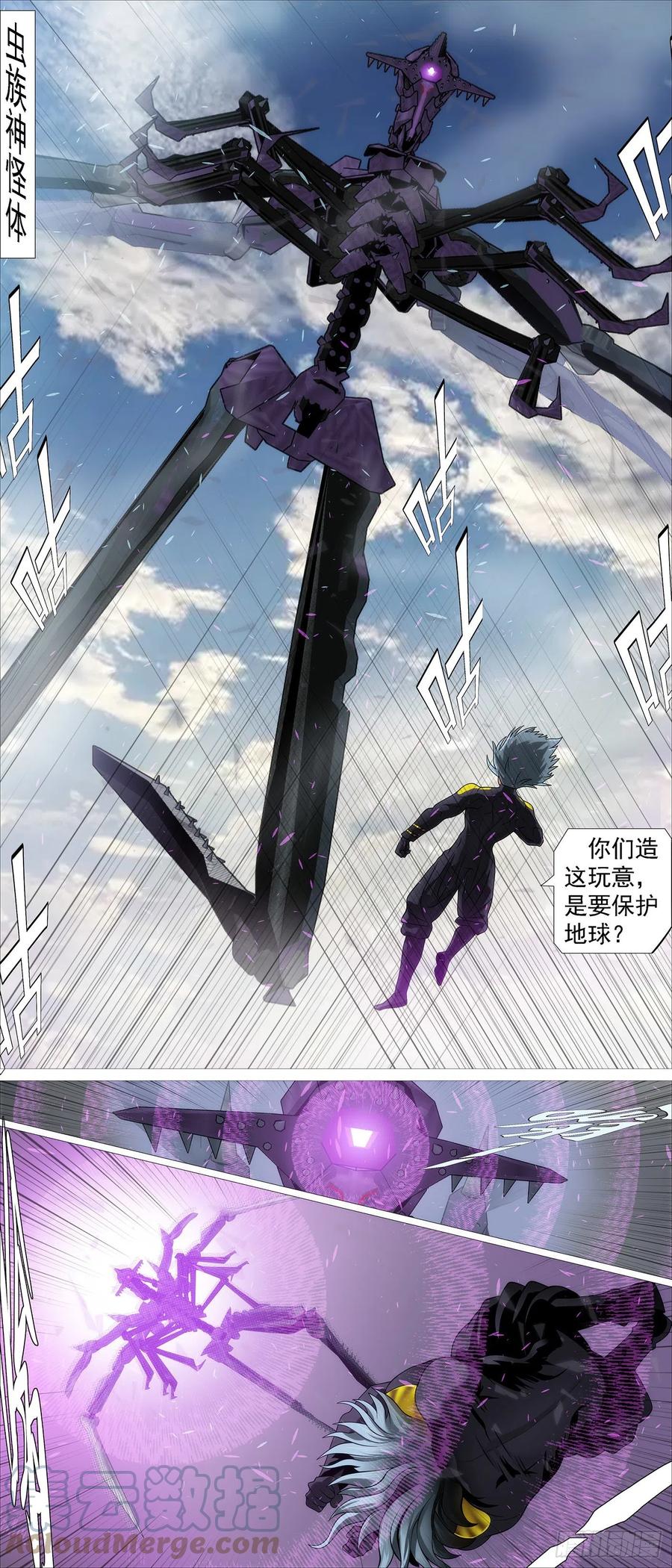 3.jpg
