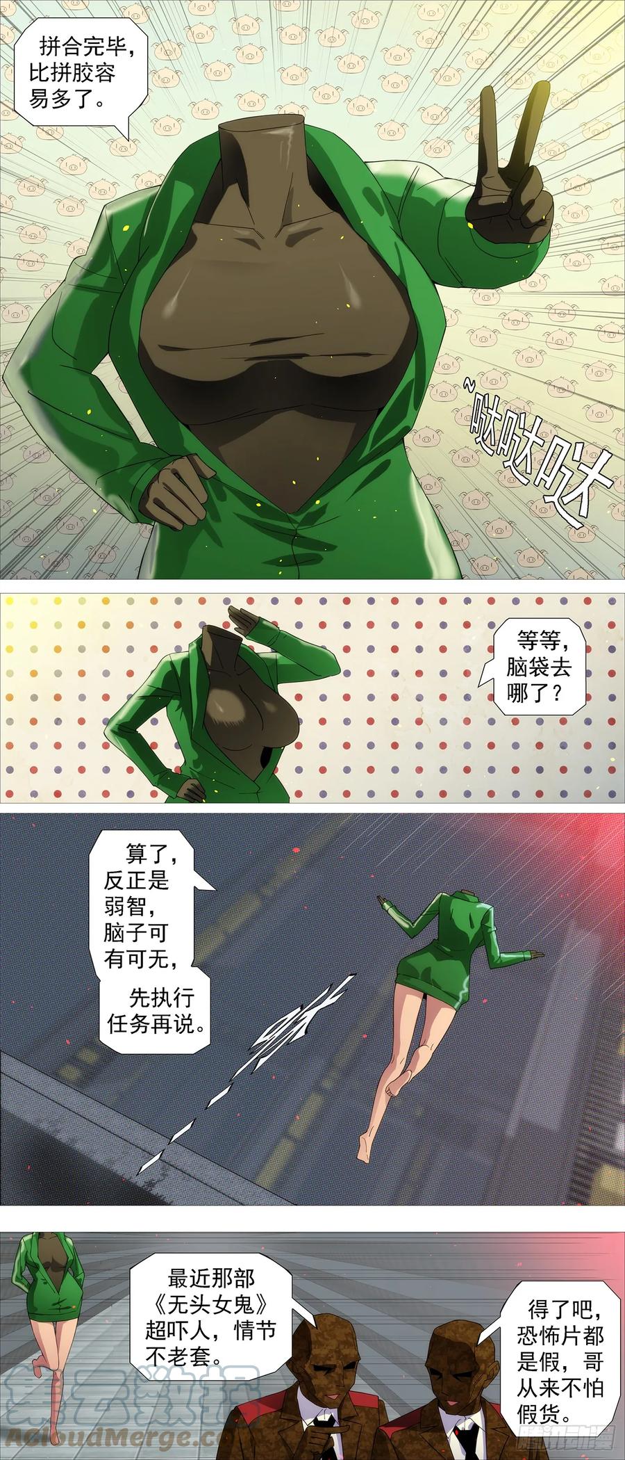 8.jpg