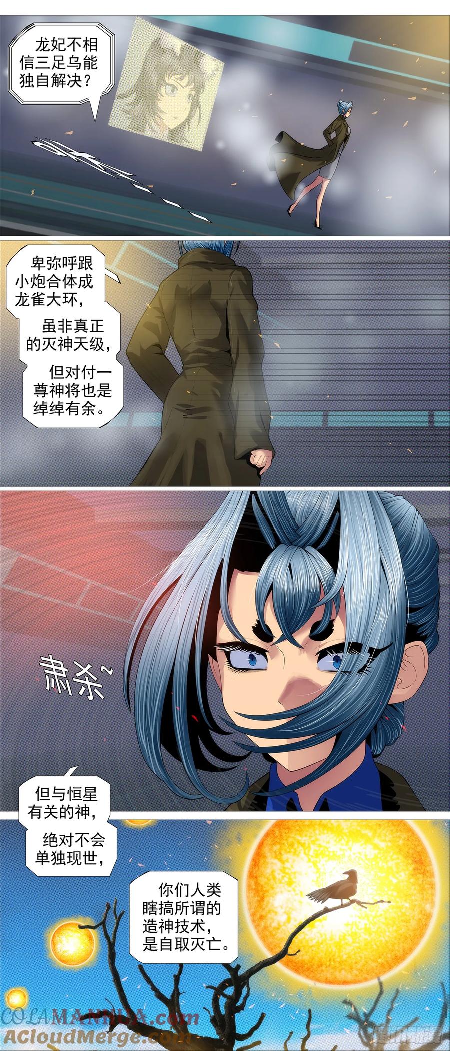 12.jpg