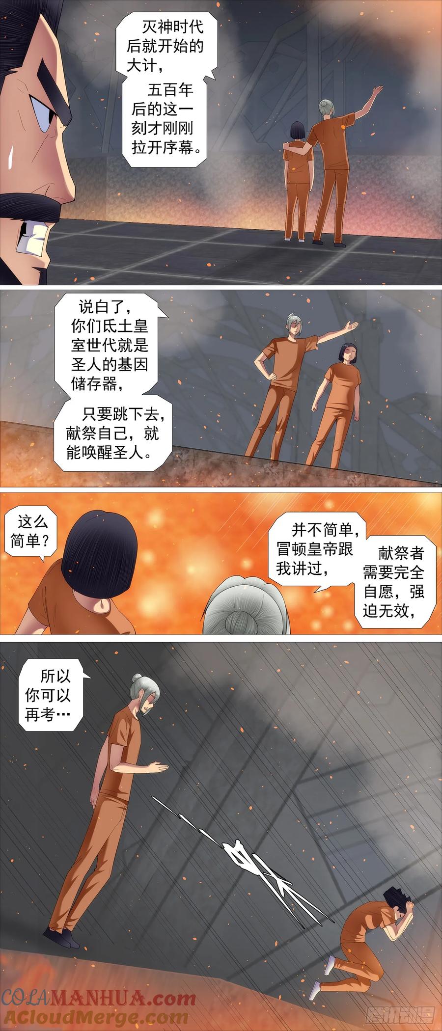 8.jpg