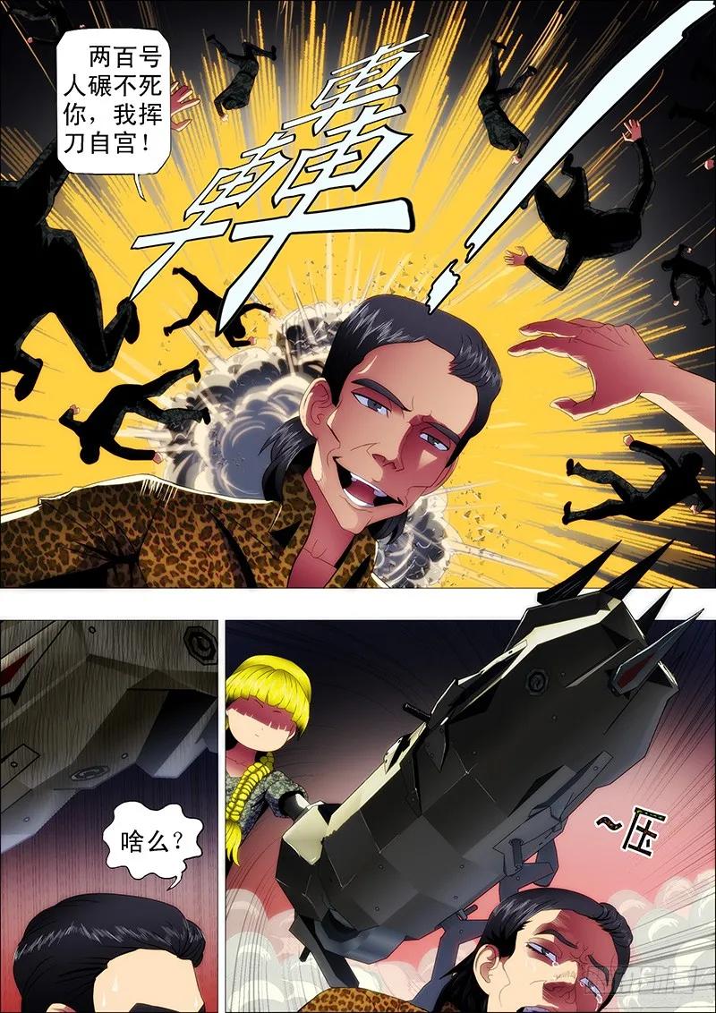 8.jpg