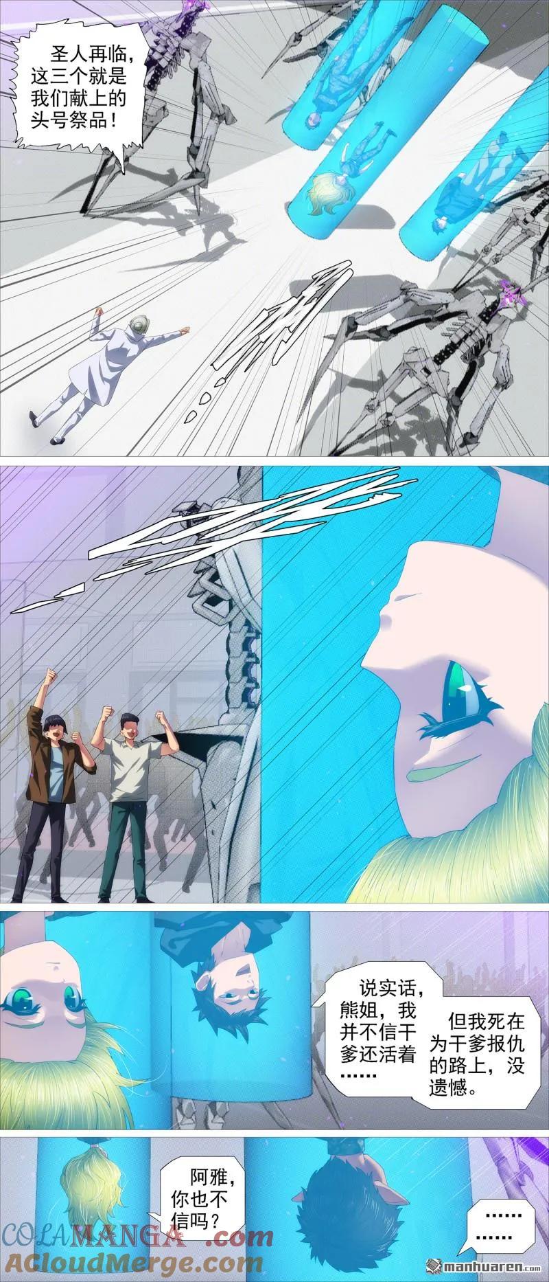 5.jpg