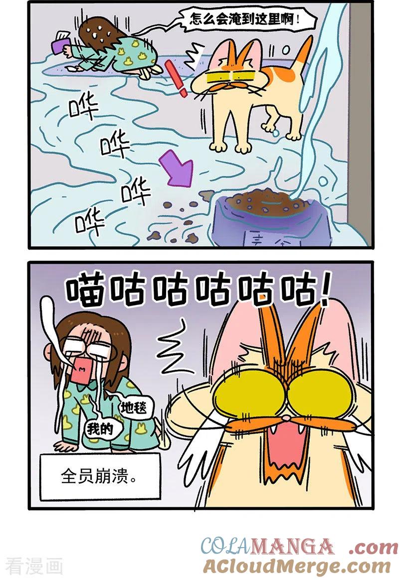 第62话1修水管-阿满和麦茶-新漫画 日胖大海寺（第2张）