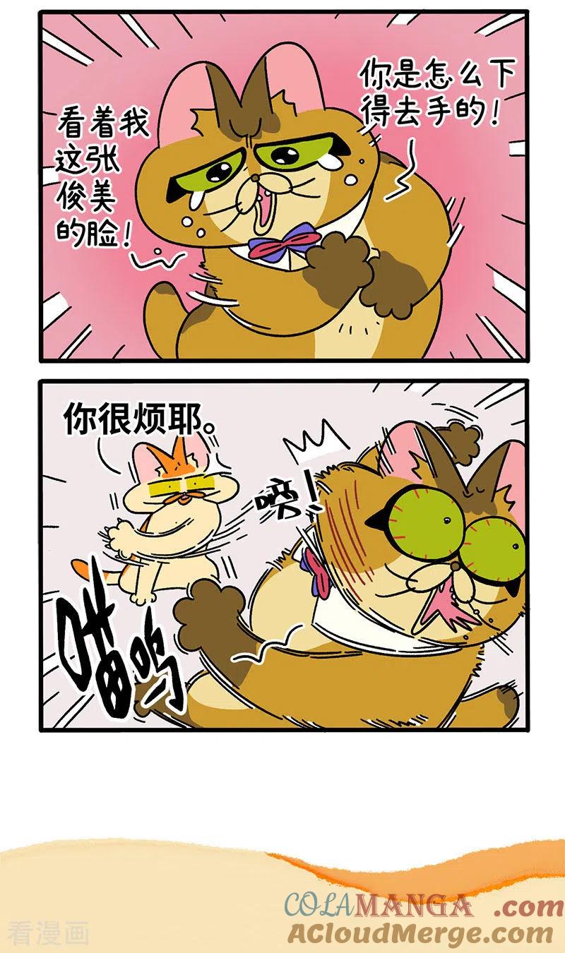第69话1德皮特滑铁卢-阿满和麦茶-新漫画 日胖大海寺（第5张）