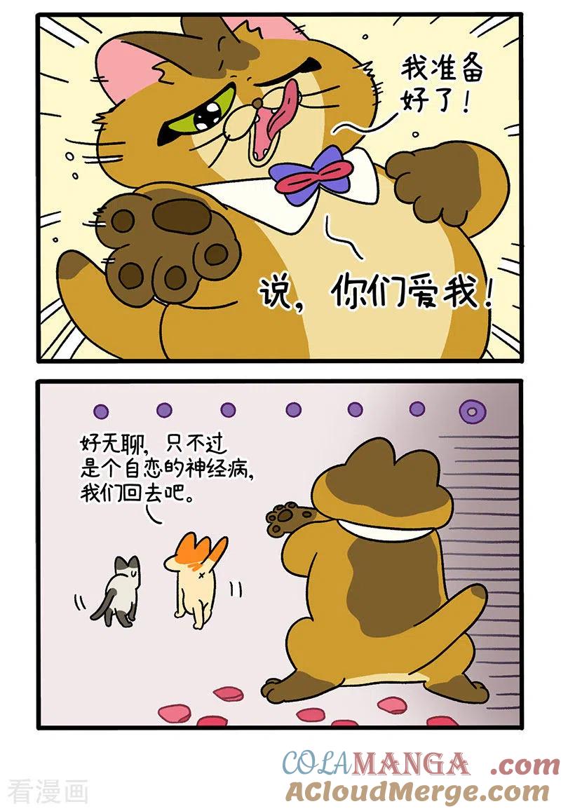 第69话1德皮特滑铁卢-阿满和麦茶-新漫画 日胖大海寺（第2张）