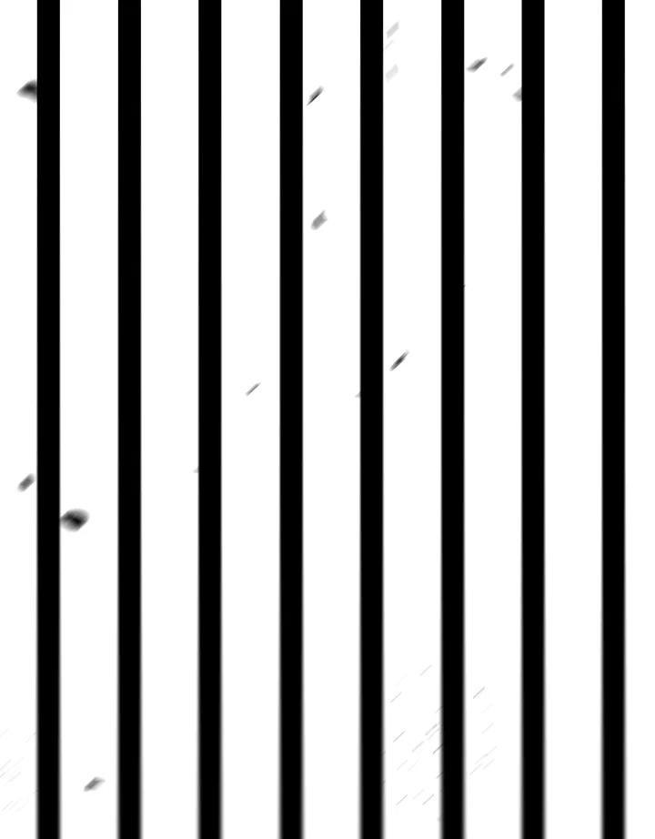 79.jpg