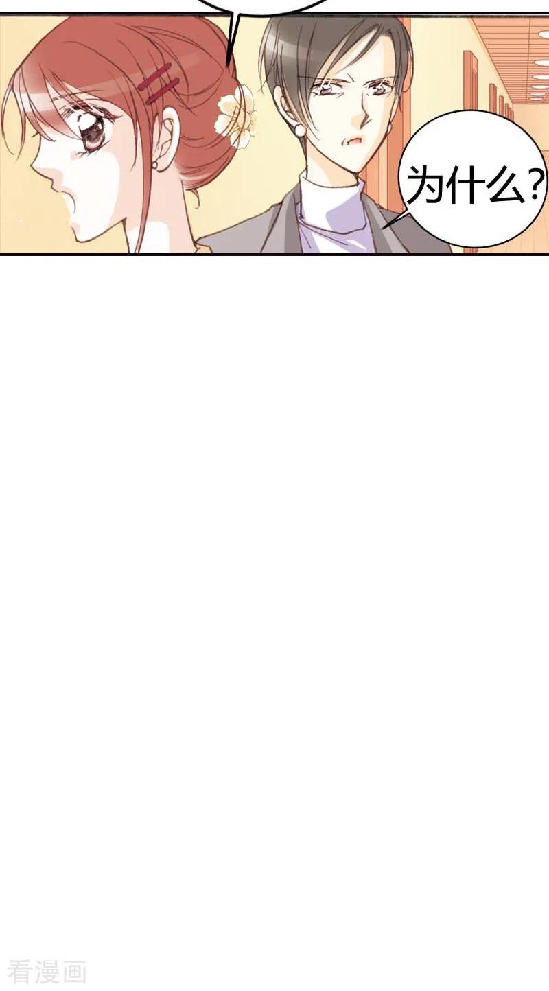 第41话-灰姑娘进化论-左岸卡漫（第10张）