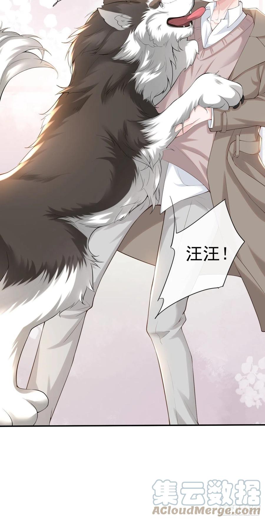 第3话属于他记忆深处的少年-替身关系-猫仆工作室（第16张）