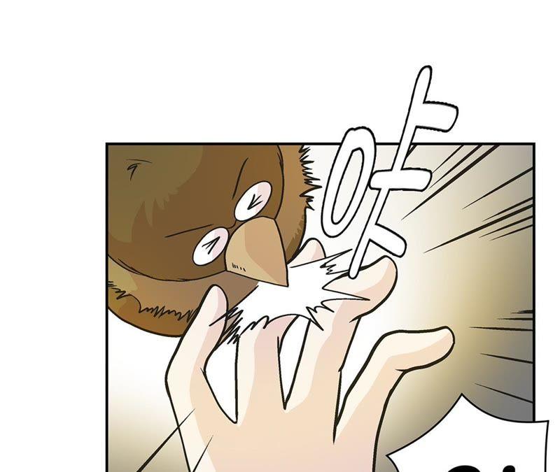 第91话不要放弃，如意！-奇妙的动物高中-一漫文化（第6张）