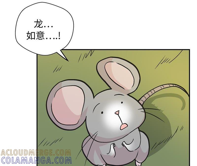 第92话你真傻-奇妙的动物高中-一漫文化（第13张）