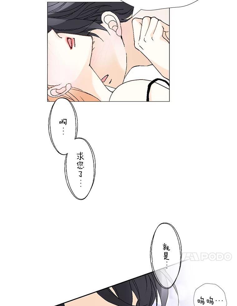91.jpg