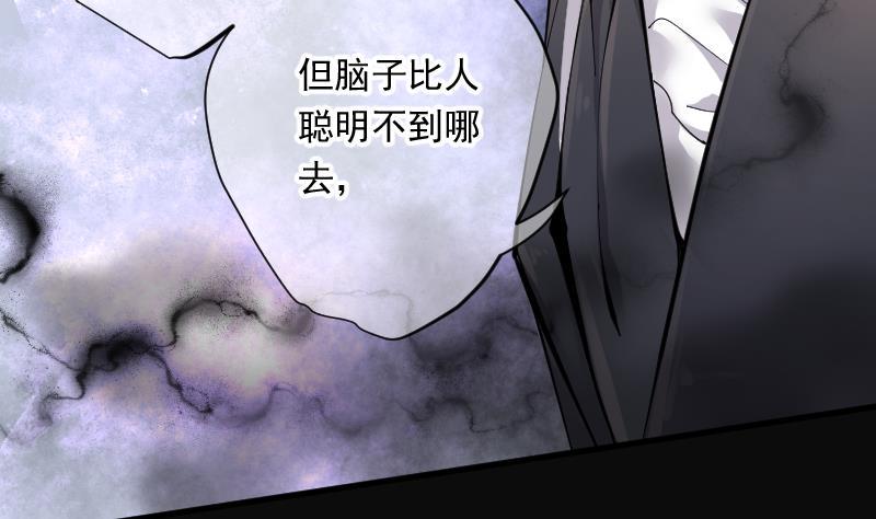 第168话报应不爽2-剃头匠-云栖动漫（第27张）