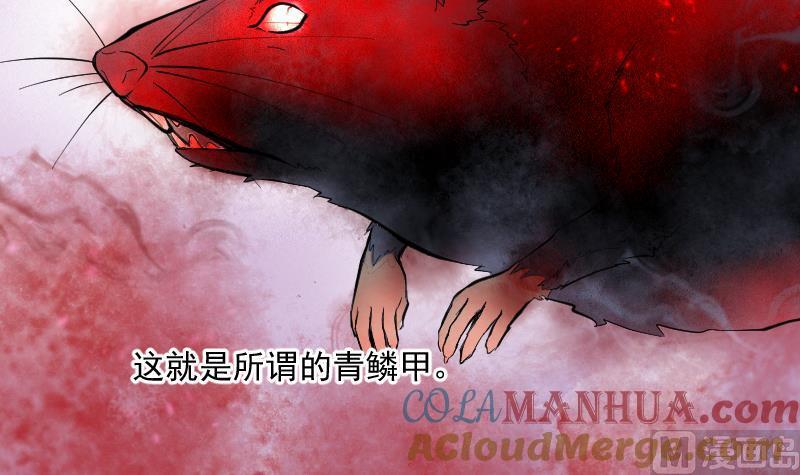 第195话青鳞甲3-剃头匠-云栖动漫（第13张）