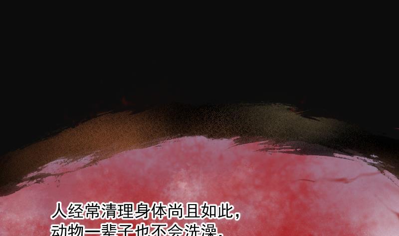 第195话青鳞甲3-剃头匠-云栖动漫（第11张）