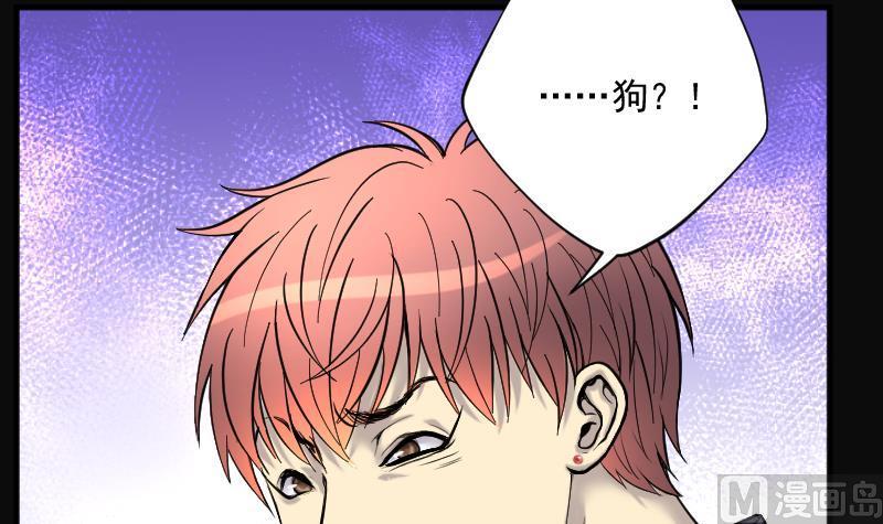 第223话三条腿的狗腿1-剃头匠-云栖动漫（第12张）