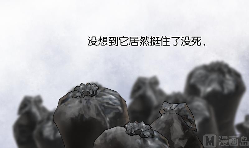 第229话杀人凶手5-剃头匠-云栖动漫（第21张）